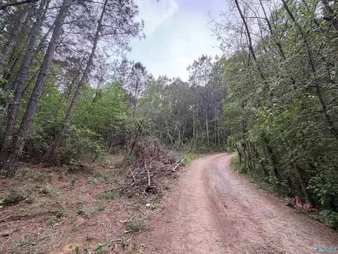lot1 Wilhite Rd, Falkville, AL 35622