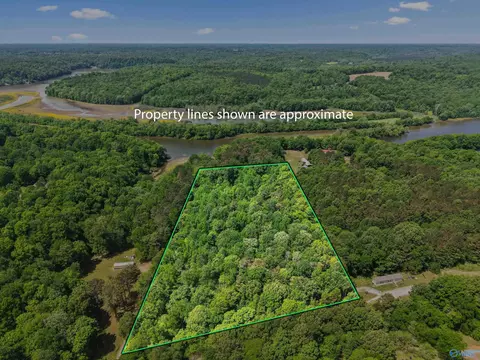 12105 Grigsby Ferry Rd, Elkmont, AL 35620