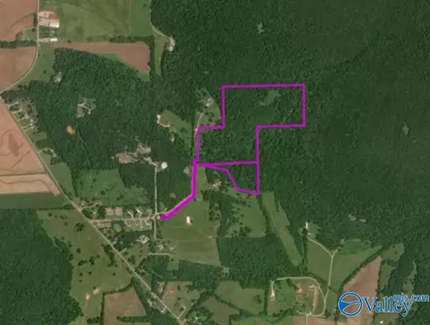 45 Acres Marvaline Dr, New Market, AL 35761