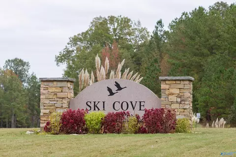 lot1 Goose Pond Island Dr, Scottsboro, AL 35769