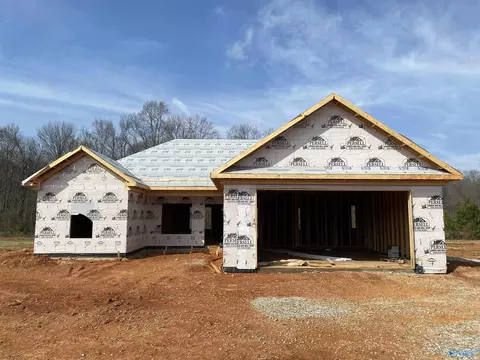 11193 Percy Dr, Tanner, AL 35671