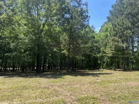 lot1 County Road 1009, Cedar Bluff, AL 35959