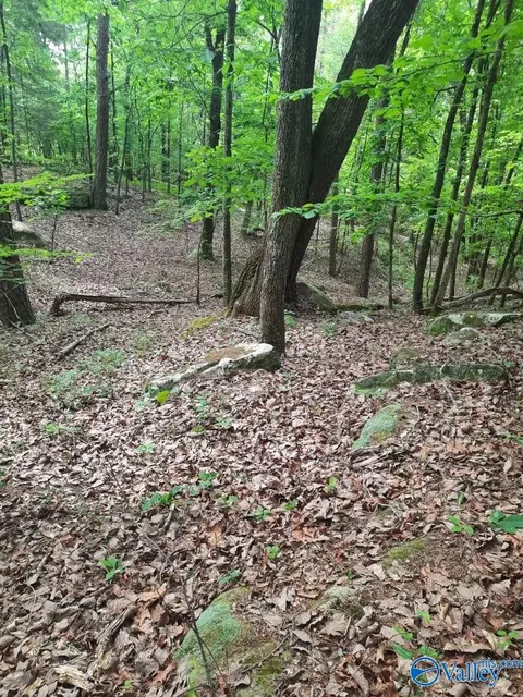 4 4 Acres Wooten Rd, Grant, AL 35747 photo 5