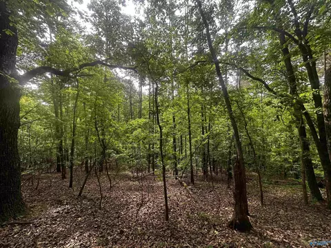4 4 Acres Wooten Rd, Grant, AL 35747 photo 8