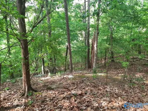 4 4 Acres Wooten Rd, Grant, AL 35747 photo 7