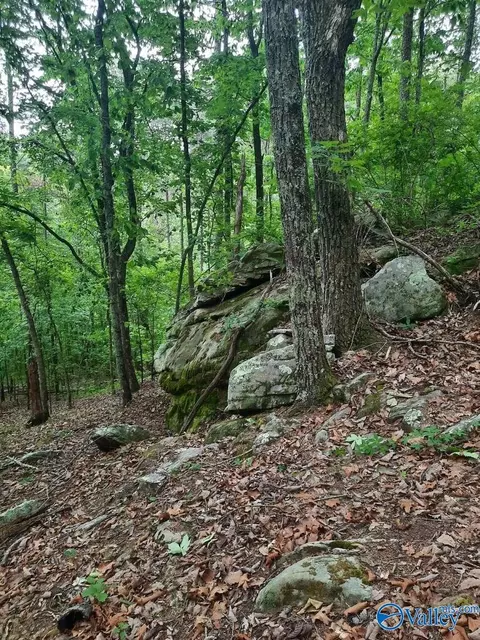 4 4 Acres Wooten Rd, Grant, AL 35747 photo 11