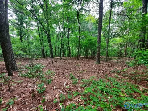 4 4 Acres Wooten Rd, Grant, AL 35747 photo 3