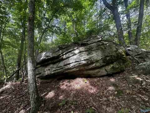 4 4 Acres Wooten Rd, Grant, AL 35747 photo 9