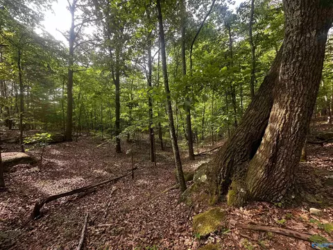 4 4 Acres Wooten Rd, Grant, AL 35747