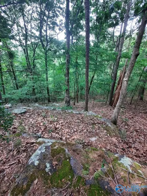 4 4 Acres Wooten Rd, Grant, AL 35747 photo 12