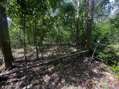 4 4 Acres Wooten Rd, Grant, AL 35747 photo 10