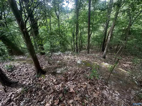 4 4 Acres Wooten Rd, Grant, AL 35747 photo 6