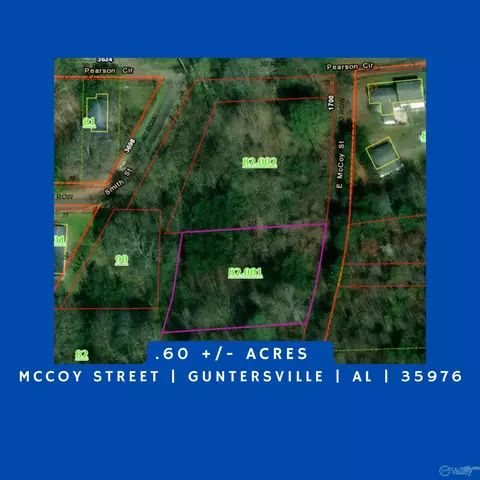 60 E Lot E Mccoy St, Guntersville, AL 35976