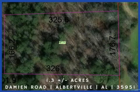 1 3 - Acre Damien Rd, Albertville, AL 35951