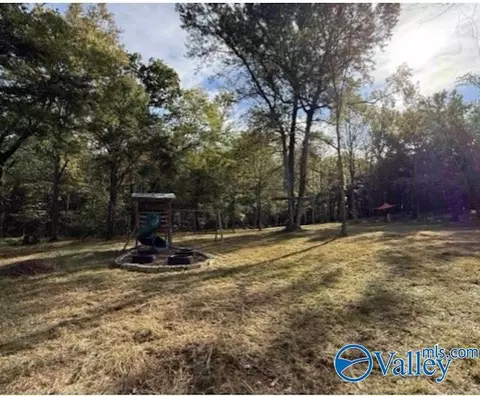 169 Brooks Church Rd, Hazel Green, AL 35750