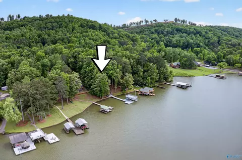 View/Area - 3691 County Road 104, Cedar Bluff, AL 35959 photo 1 of 6
