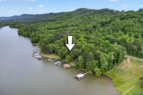 View/Area - 3691 County Road 104, Cedar Bluff, AL 35959 photo 6 of 6