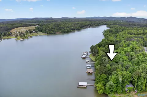 View/Area - 3691 County Road 104, Cedar Bluff, AL 35959 photo 5 of 6