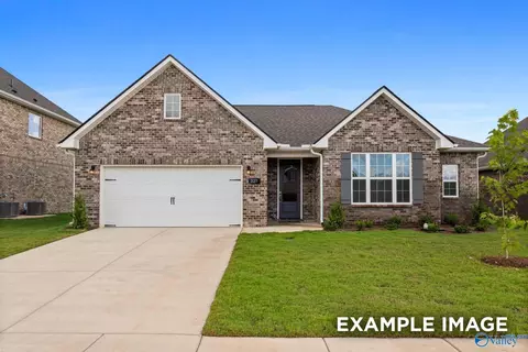 132 Cowdray Cir, Toney, AL 35773