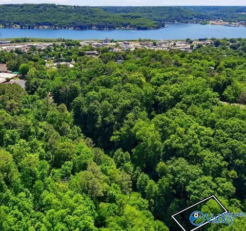 lot8 Lusk St, Guntersville, AL 35976