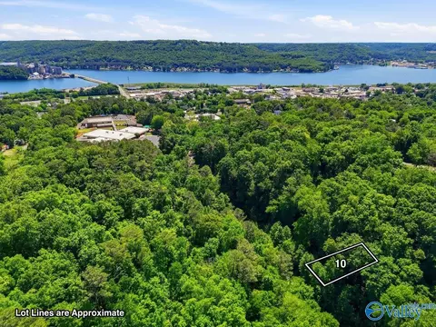 lot10 Lusk St, Guntersville, AL 35976