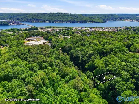 lot11 Lusk St, Guntersville, AL 35976