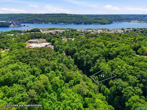 lot12 Lusk St, Guntersville, AL 35976