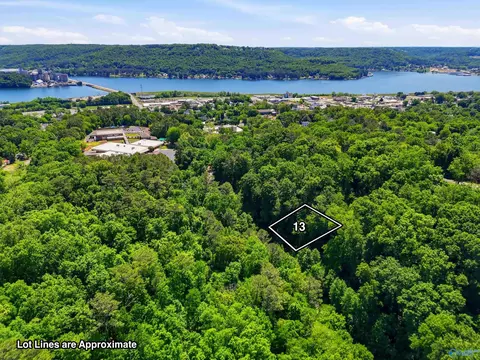 lot13 Lusk St, Guntersville, AL 35976