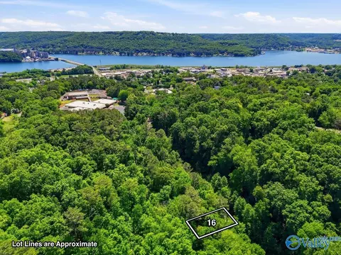 lot16 Lusk St, Guntersville, AL 35976