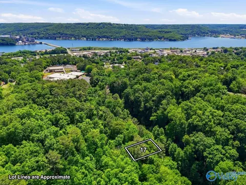 lot17 Lusk St, Guntersville, AL 35976