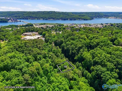 lot18 Lusk St, Guntersville, AL 35976