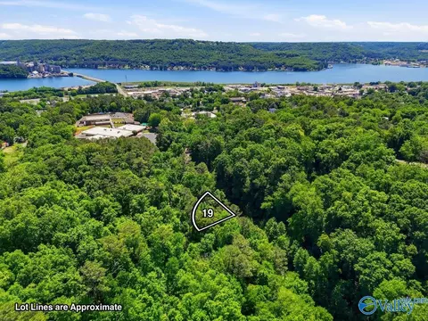 lot19 Lusk St, Guntersville, AL 35976