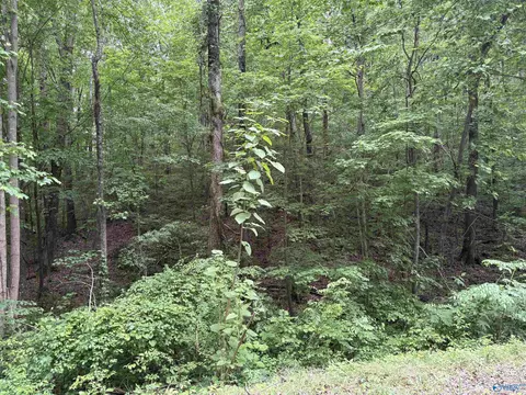 2756 Wilhite Rd, Falkville, AL 35622