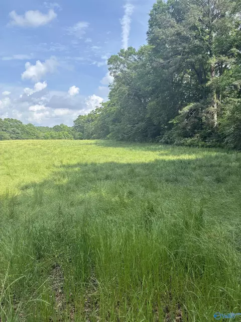 8 06 Acres Alabama Highway 79, Blountsville, AL 35031