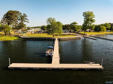 10174 County Road 67 #77, Langston, AL 35755