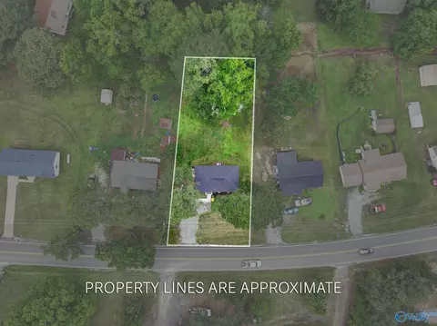 View/Area - 1072 Hulaco Rd, Arab, AL 35016 photo 1 of 5