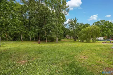 Exterior - 1072 Hulaco Rd, Arab, AL 35016 photo 6 of 12
