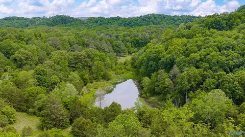 77 Acres Hixon Rd, Fort Payne, AL 35967
