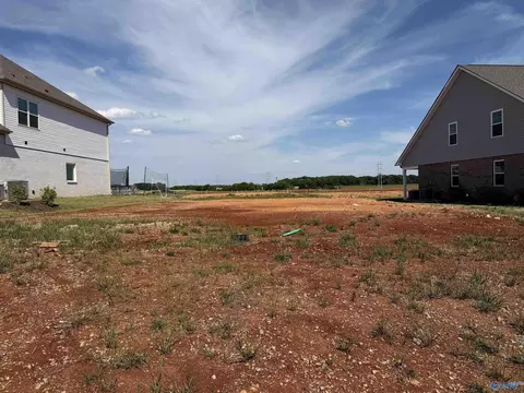 83 Dylan Rd, Madison, AL 35756