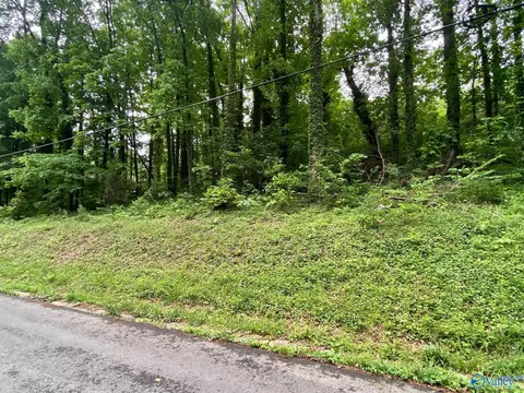 lot6 Cherokee Rd, Guntersville, AL 35976