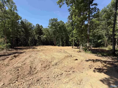 lot18 Meadowwood Cir, Arab, AL 35016