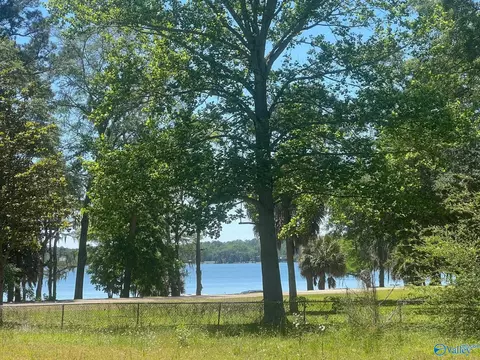 View/Area - 23323 4th Ave, Florala, AL 36442 photo 2 of 4