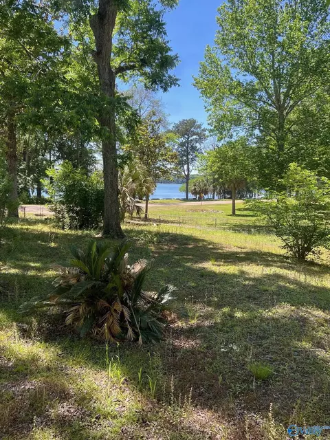 View/Area - 23323 4th Ave, Florala, AL 36442 photo 4 of 4