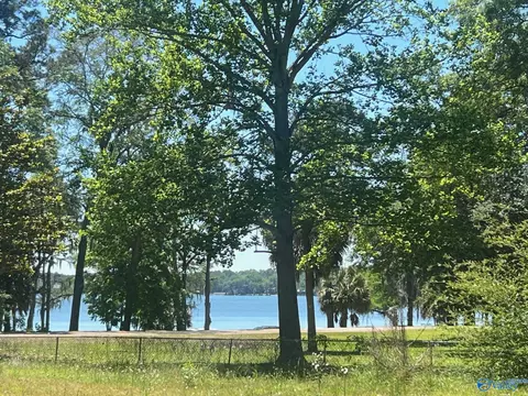 View/Area - 23323 4th Ave, Florala, AL 36442 photo 3 of 4
