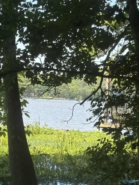 lot8 County Road 567, Gaylesville, AL 35973