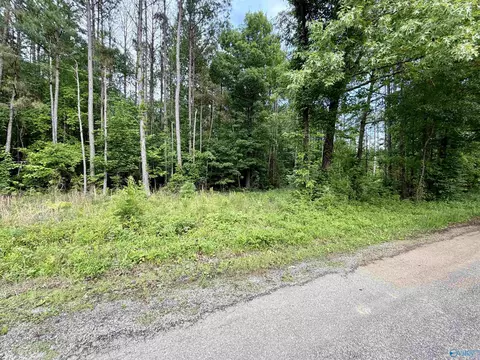 3 90 County Road 235, Leesburg, AL 35983