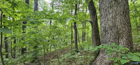 6 Acres County Road 250, Scottsboro, AL 35768