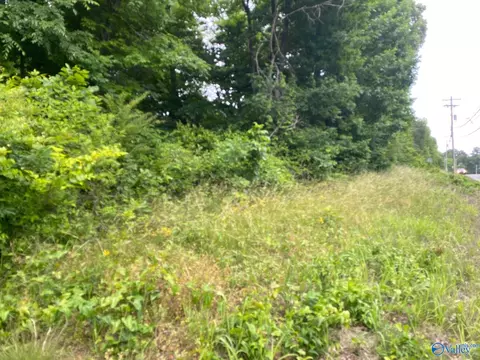 lot16 Highway 227, Guntersville, AL 35976