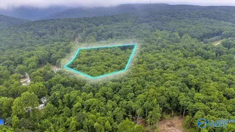 2 Acres Range Rd, Gurley, AL 35748 photo 7