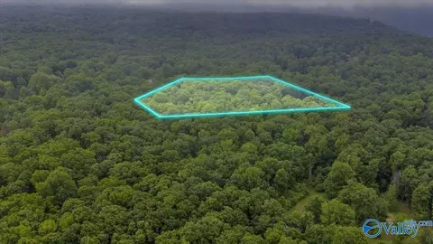2 Acres Range Rd, Gurley, AL 35748 photo 5